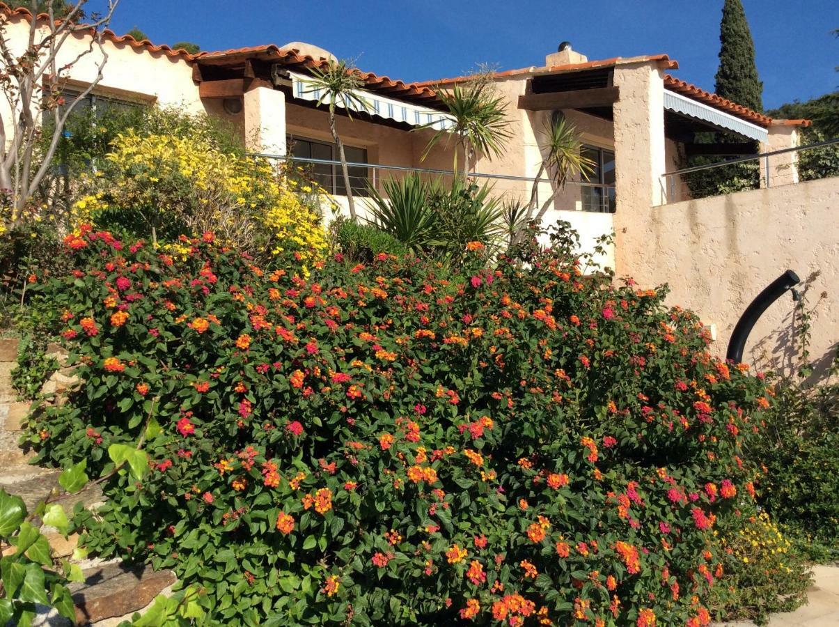 Villa Du Bau Rouge Carqueiranne Exterior foto